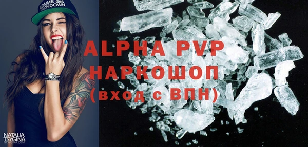 СК Снежногорск