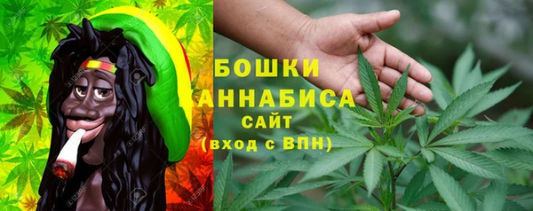 гашик Богородск